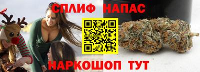 стаф Жуковский