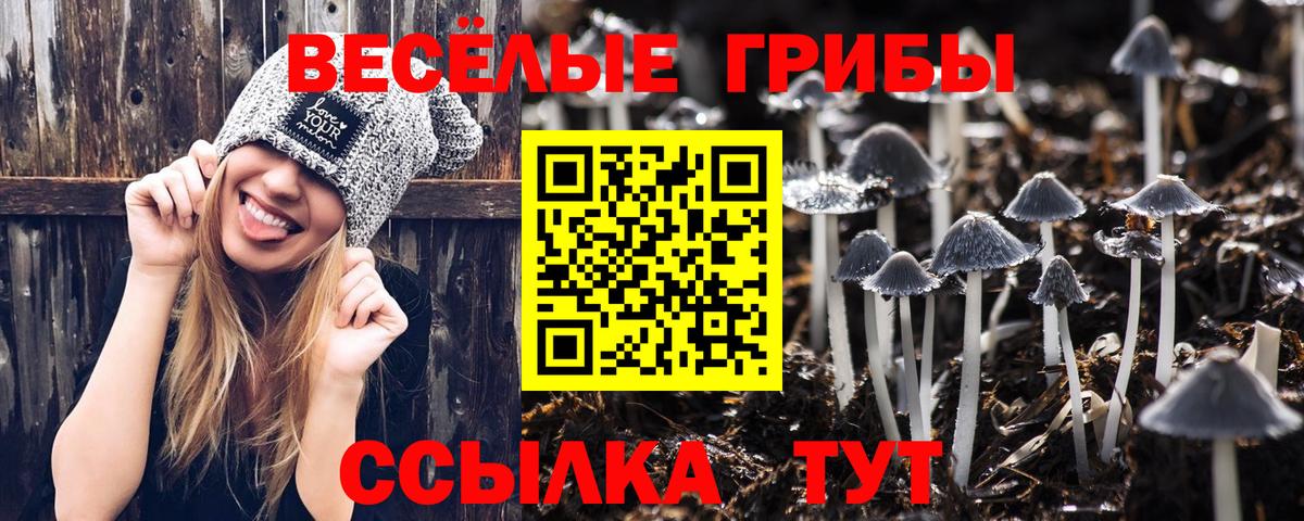 Галлюциногенные грибы ЛСД  Вход с VPN  Миллерово  Псилоцибиновые грибы Cubensis 